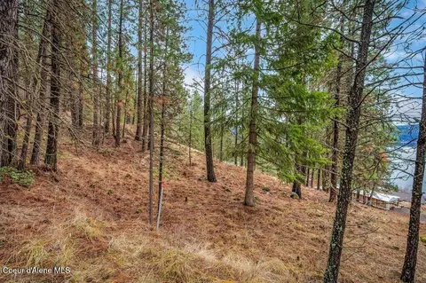 Nna E Crows Nest Rd, Harrison, ID 83833 photo 4