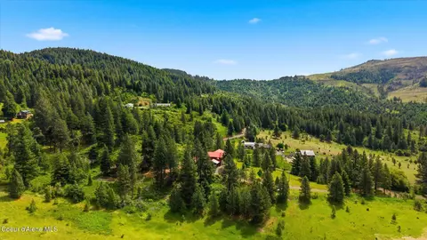 View/Area - 3132 Windfall Pass Rd, Plummer, ID 83851 photo 1 of 2