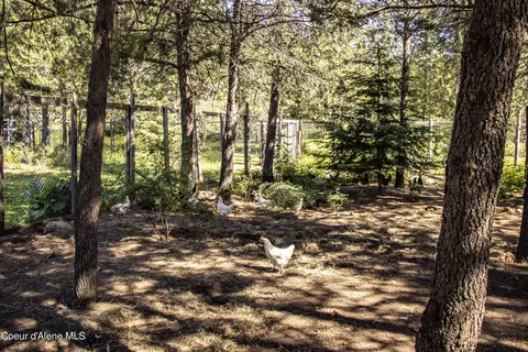 Exterior - 871 Foothill Dr, Athol, ID 83801 photo 7 of 18