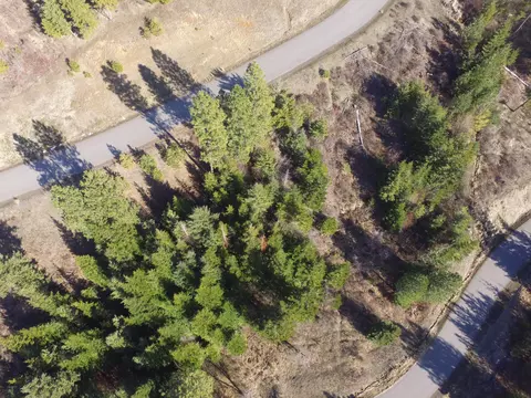 L135 Echo Canyon Ct, Harrison, ID 83833