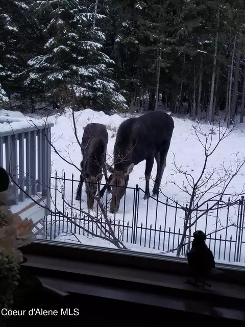 Other - 518 High Rd, Sandpoint, ID 83864 photo 13 of 16