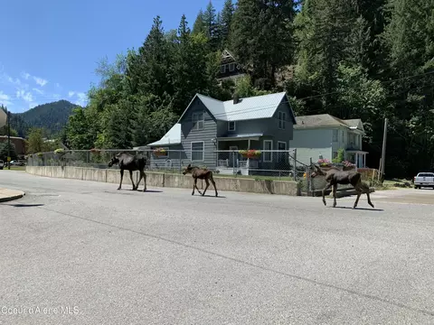 Other - 211 2nd St, Wallace, ID 83873 photo 4 of 4