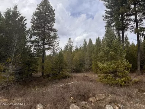 Nka E Lowland Dr, Athol, ID 83801 photo 3
