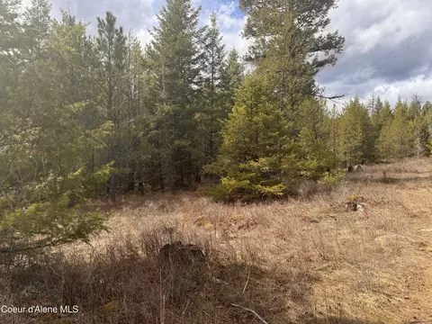 Nka E Lowland Dr, Athol, ID 83801 photo 6