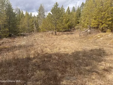 Nka E Lowland Dr, Athol, ID 83801 photo 4