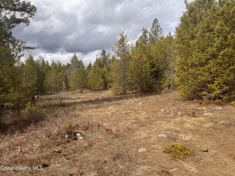 Nka E Lowland Dr, Athol, ID 83801 photo 7