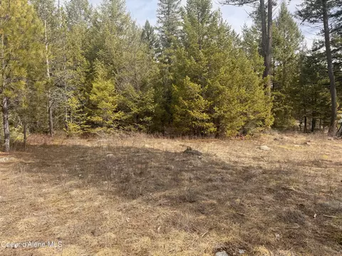Nka E Lowland Dr, Athol, ID 83801 photo 2