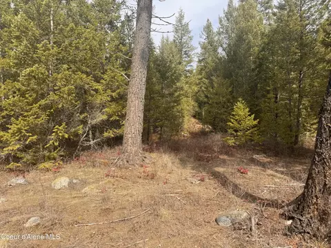 Nka E Lowland Dr, Athol, ID 83801 photo 5