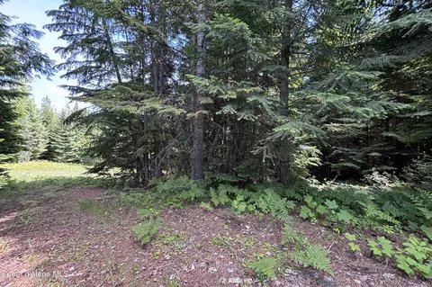1046 Saddleback Dr, Naples, ID 83847 photo 8