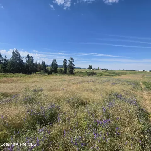 Other - 7375 E Sunrise Dr, Harrison, ID 83833 photo 4 of 7