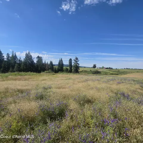 Other - 7375 E Sunrise Dr, Harrison, ID 83833 photo 2 of 7