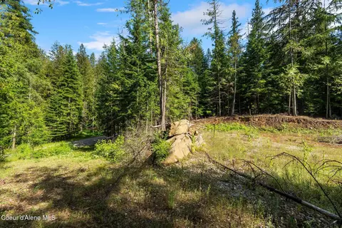 9782 Bottle Bay Rd, Sagle, ID 83860 photo 6