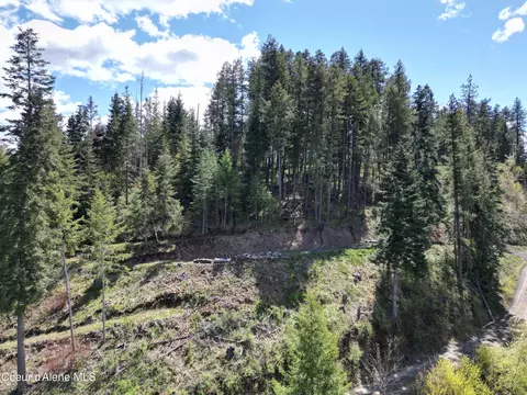 lot4 E Cliff View Dr, Harrison, ID 83833 photo 16