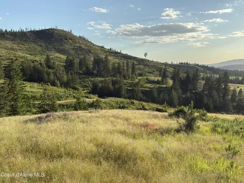 Nna Windfall Pass Rd., Plummer, ID 83851