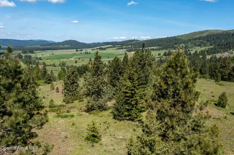 Nna Windfall Pass Rd., Plummer, ID 83851 photo 22