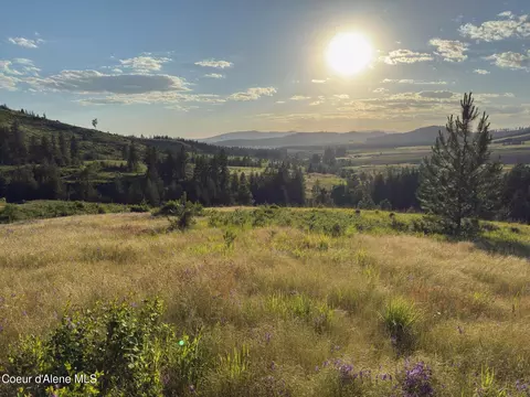 Nna Windfall Pass Rd., Plummer, ID 83851 photo 5