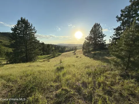 Nna Windfall Pass Rd., Plummer, ID 83851 photo 13