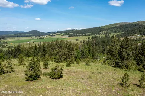 Nna Windfall Pass Rd., Plummer, ID 83851 photo 24
