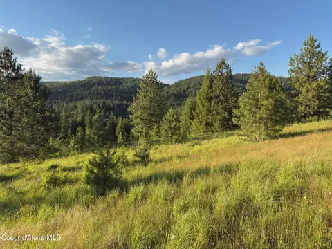 Nna Windfall Pass Rd., Plummer, ID 83851 photo 10