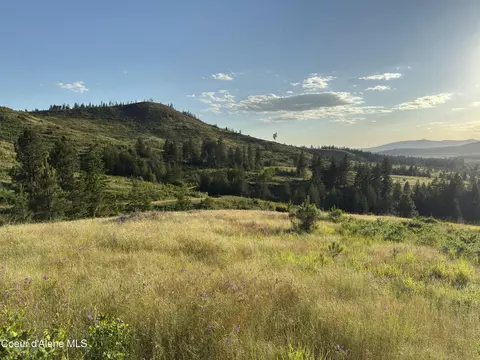 Nna Windfall Pass Rd., Plummer, ID 83851 photo 12