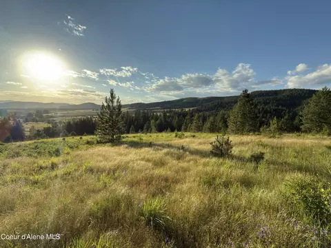 Nna Windfall Pass Rd., Plummer, ID 83851 photo 8