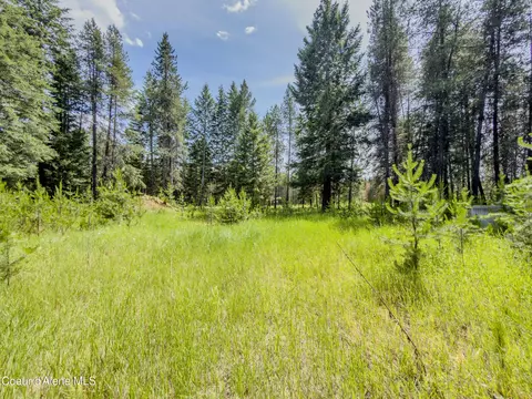 321 Winterton Rd, Sandpoint, ID 83864 photo 18