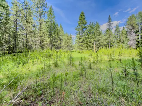 321 Winterton Rd, Sandpoint, ID 83864 photo 22