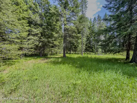 321 Winterton Rd, Sandpoint, ID 83864 photo 17