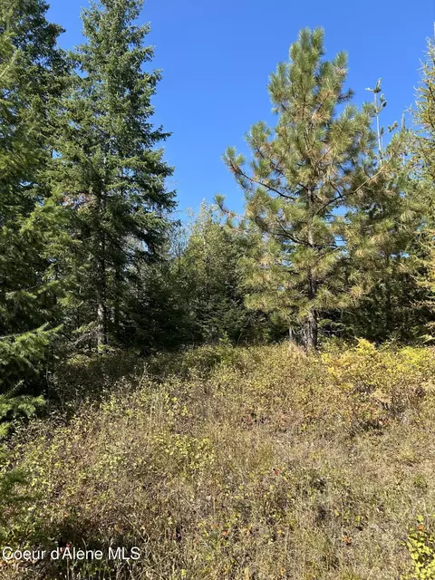 Tract 3 Usfs 2294, Clark Fork, ID 83811 photo 6