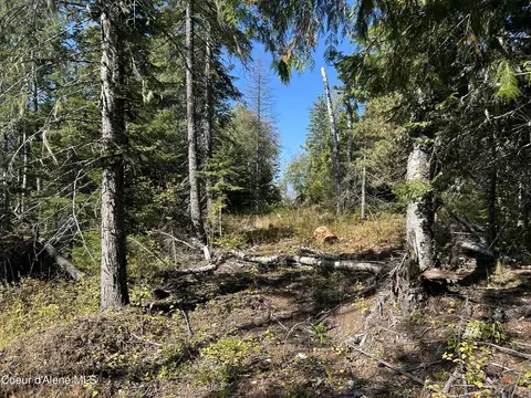Tract 3 Usfs 2294, Clark Fork, ID 83811 photo 2