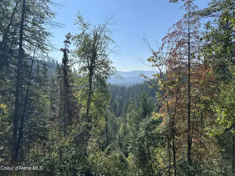 Tract 3 Usfs 2294, Clark Fork, ID 83811 photo 5