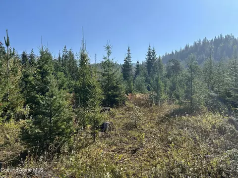 Tract 3 Usfs 2294, Clark Fork, ID 83811