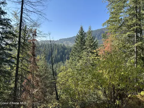 Tract 3 Usfs 2294, Clark Fork, ID 83811 photo 4
