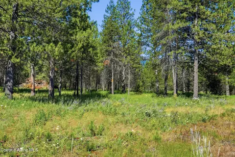 43 Nn Flatwoods Loop, Rathdrum, ID 83858 photo 2