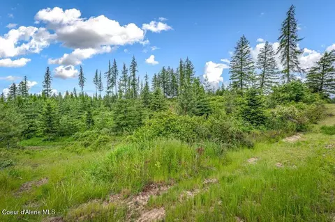 Parcel 1 Freedom Way Rd, Plummer, ID 83851 photo 26