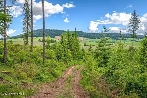 Parcel 1 Freedom Way Rd, Plummer, ID 83851 photo 6