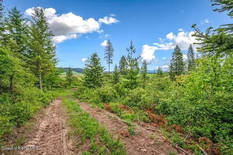 Parcel 1 Freedom Way Rd, Plummer, ID 83851 photo 4