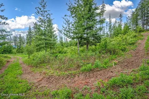 Parcel 1 Freedom Way Rd, Plummer, ID 83851 photo 29