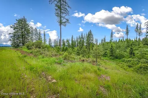Parcel 1 Freedom Way Rd, Plummer, ID 83851 photo 27