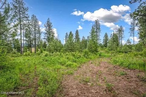 Parcel 1 Freedom Way Rd, Plummer, ID 83851 photo 33
