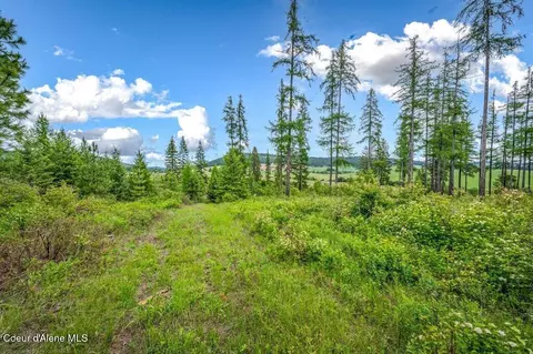 Parcel 1 Freedom Way Rd, Plummer, ID 83851 photo 23