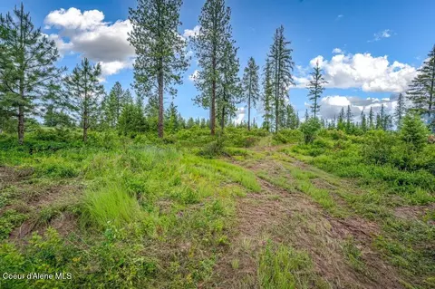 Parcel 1 Freedom Way Rd, Plummer, ID 83851 photo 18