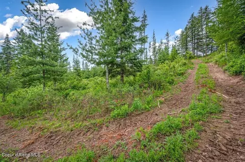 Parcel 1 Freedom Way Rd, Plummer, ID 83851 photo 28