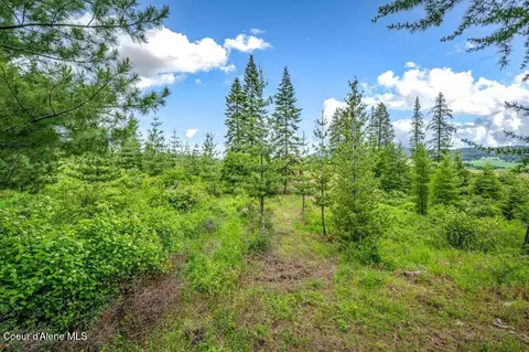 Parcel 1 Freedom Way Rd, Plummer, ID 83851 photo 24