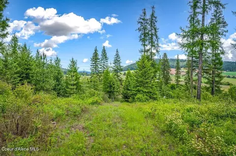 Parcel 1 Freedom Way Rd, Plummer, ID 83851 photo 22