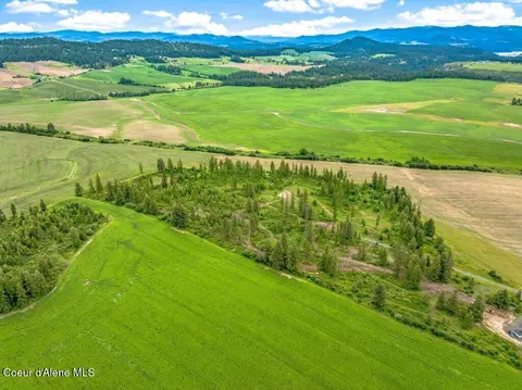 Parcel 1 Freedom Way Rd, Plummer, ID 83851 photo 8