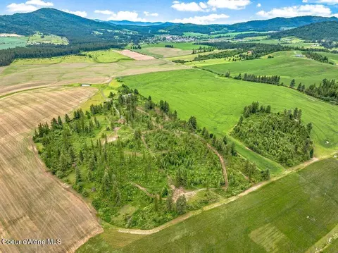Parcel 1 Freedom Way Rd, Plummer, ID 83851 photo 10