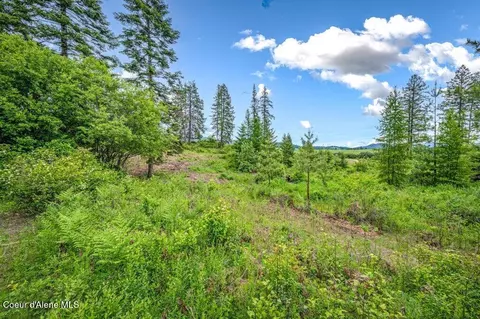 Parcel 1 Freedom Way Rd, Plummer, ID 83851 photo 25