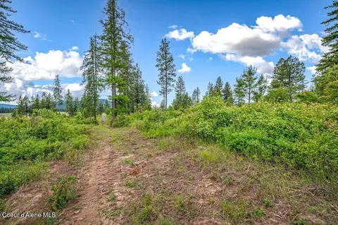 Parcel 1 Freedom Way Rd, Plummer, ID 83851 photo 19
