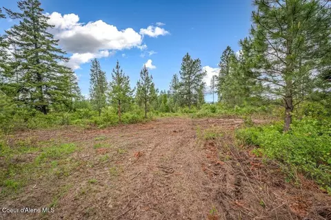 Parcel 1 Freedom Way Rd, Plummer, ID 83851 photo 32